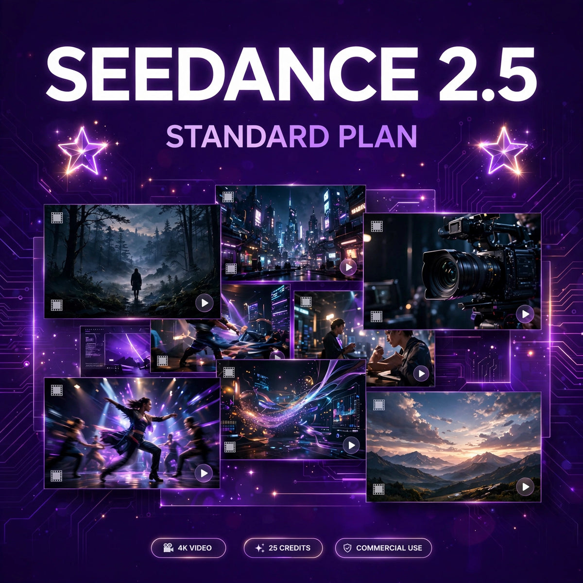 Seedance 2.5 Standard plan product image